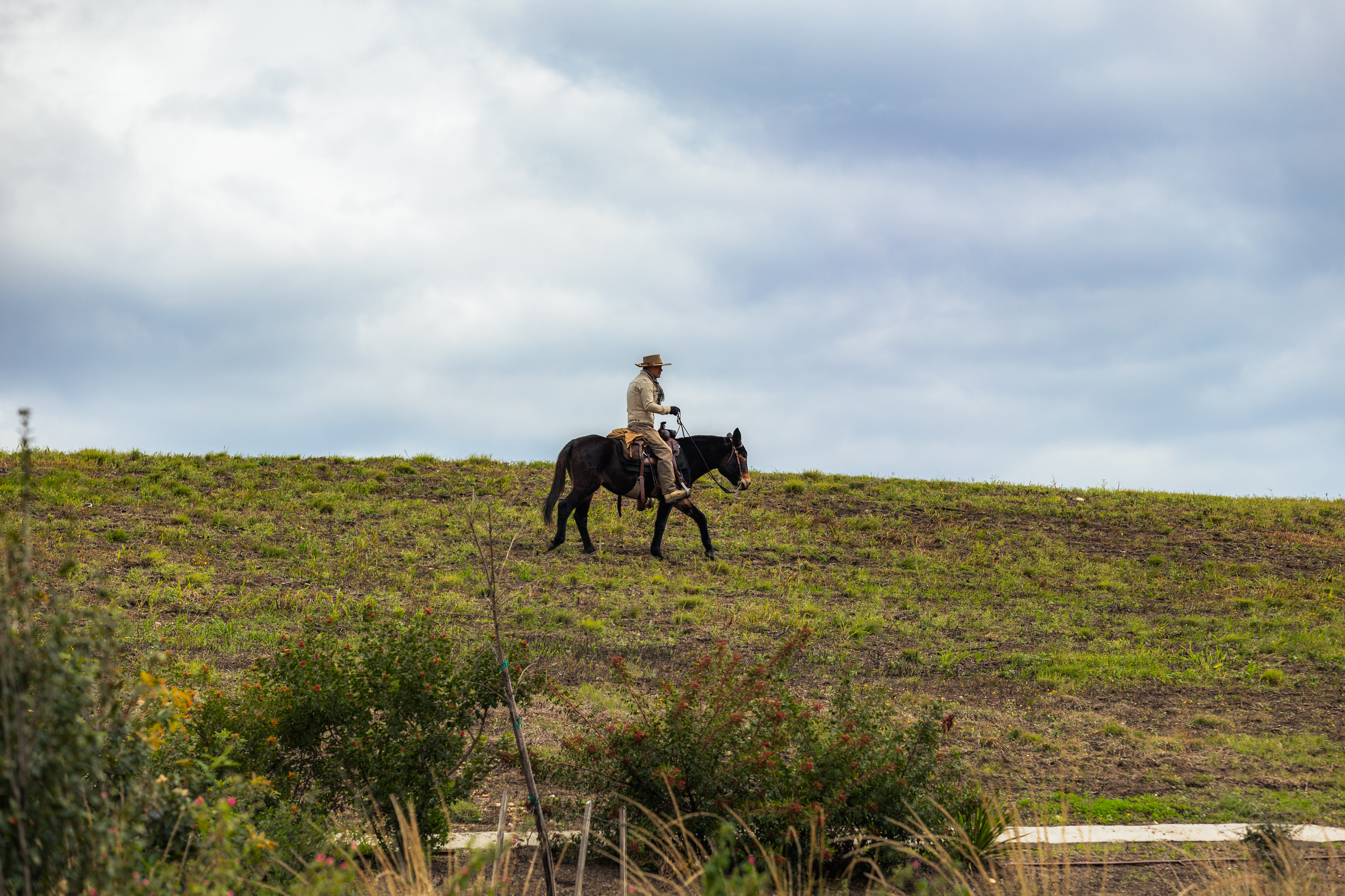 Texas Wild Lands wide field