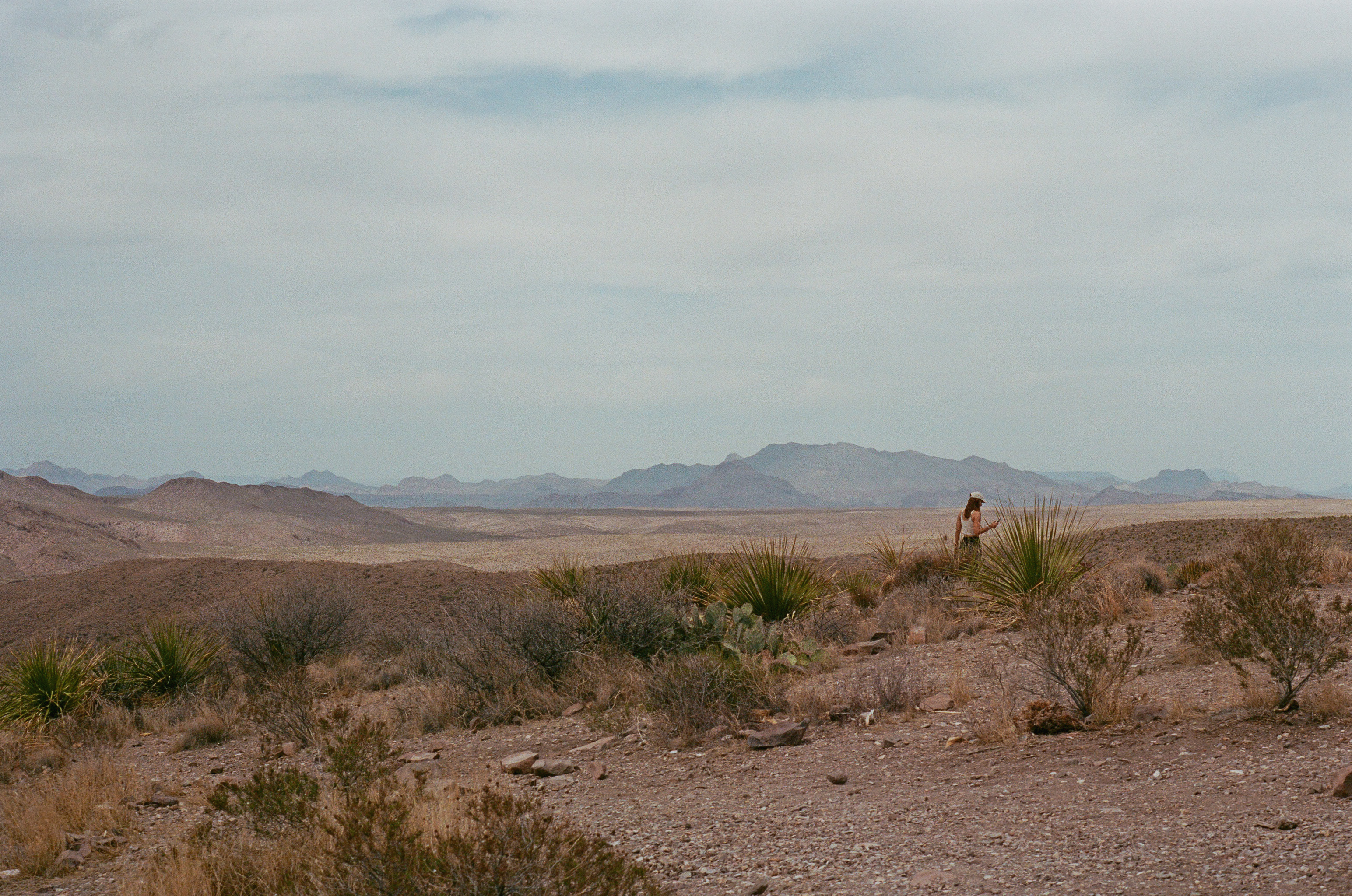 Texas Big Bend photographer
