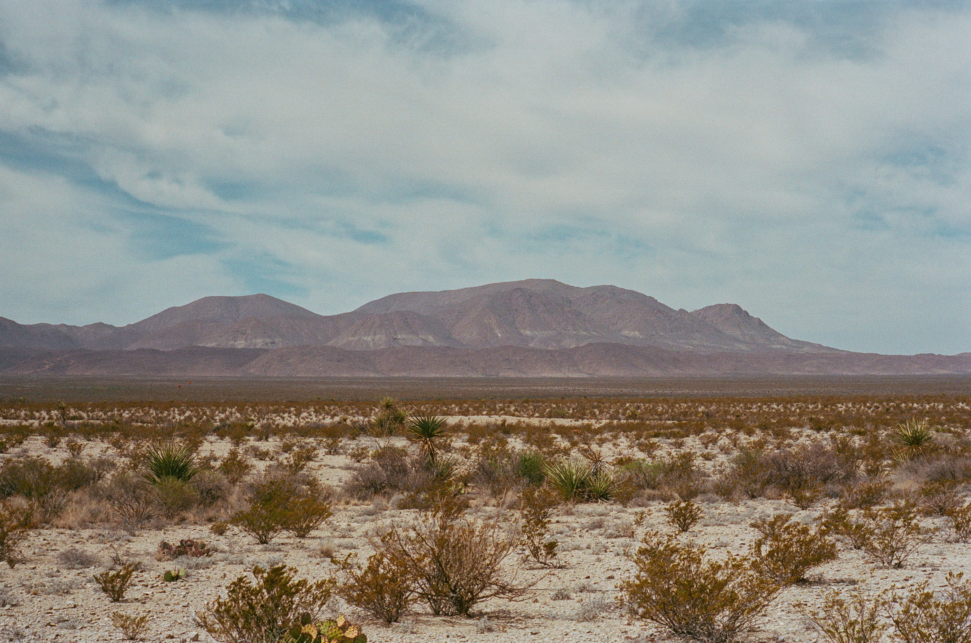 Texas motorcycle desert road