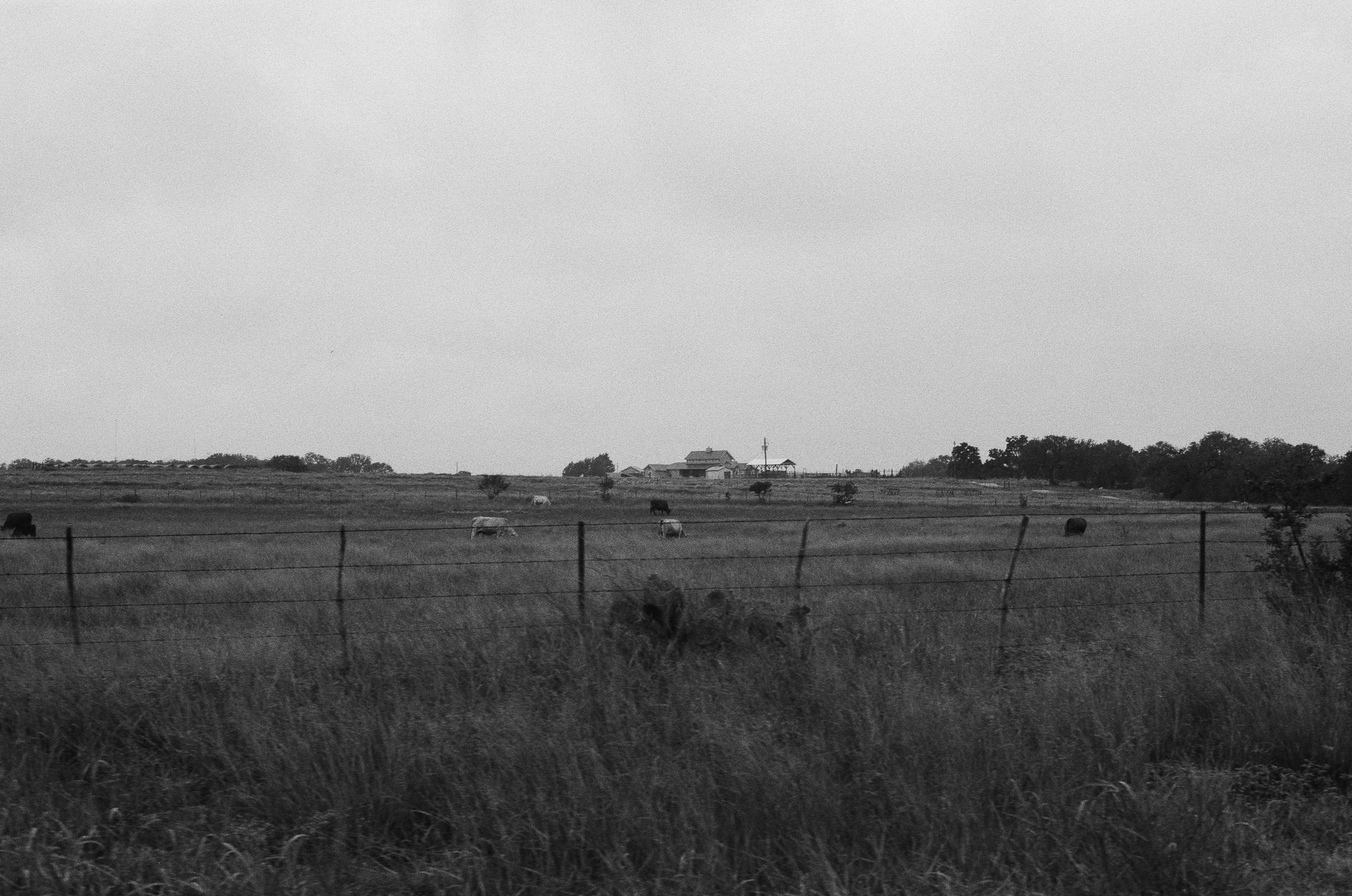 Texas Wild Lands desert vista